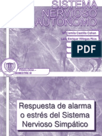 Sistema Nervioso Autonomo  