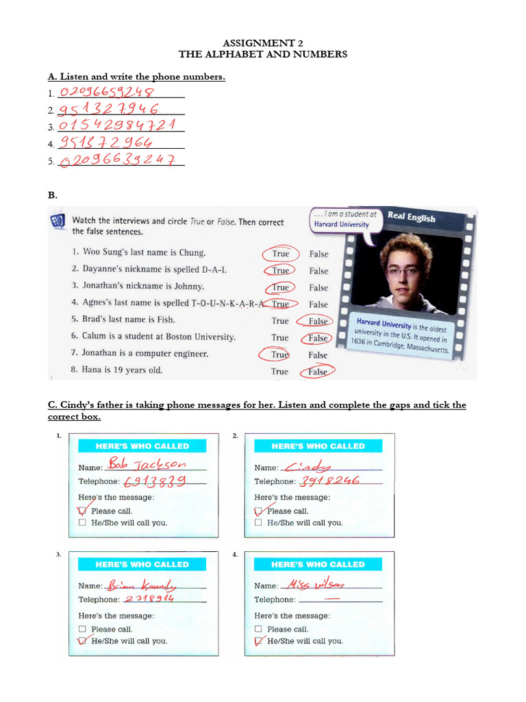 Assignment - 2 The Alphabet and Numbers - 260224 - 111210 | PDF