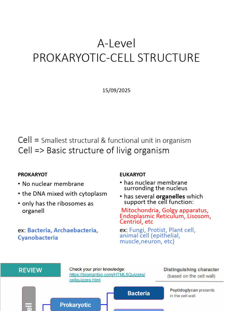 A-Level - Prokaryotic Cell Structure | PDF