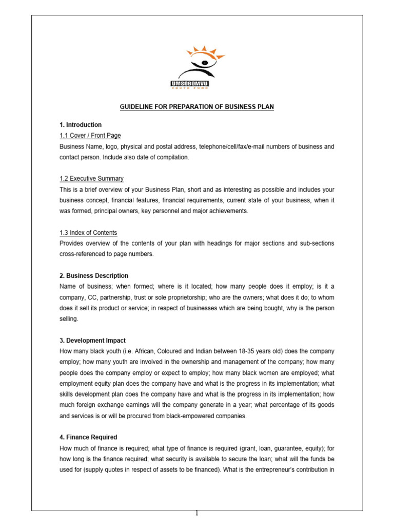 Business Plan Guideline V2 | PDF | Debt | Insurance