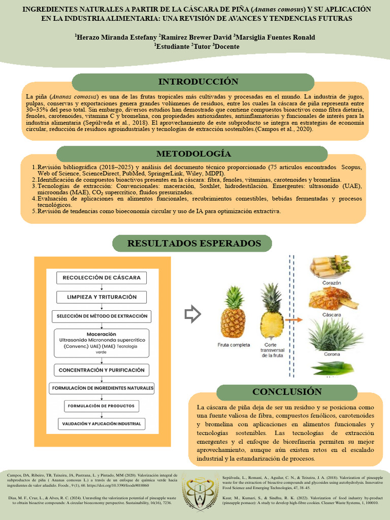 Poster Estefany | PDF | Piña | Alimentos