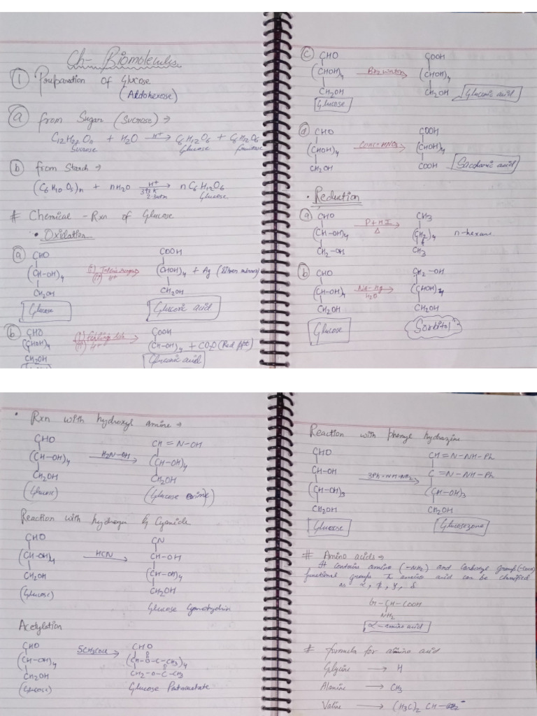 Biomolecules Handwritten Notes | PDF
