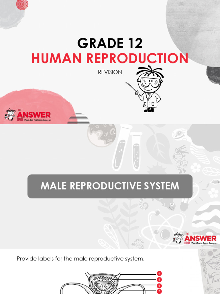 TAS Grade 12 Human Reproduction Revision Eng | PDF