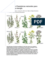 12 Fórmulas Chamánicas Naturales para Recuperar La Energía