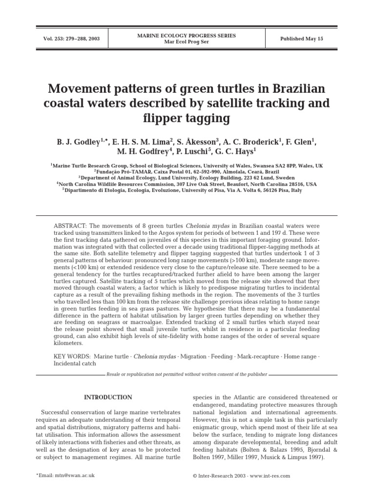 Movement Patterns of Green Turtles | PDF | Speed