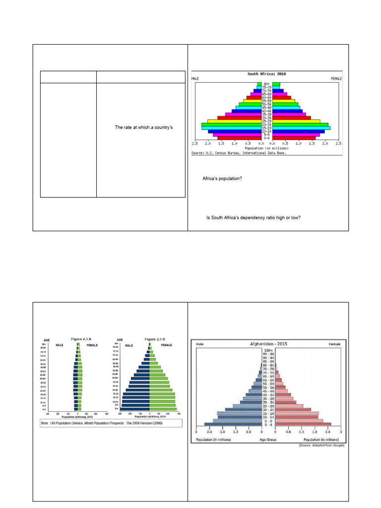 ACTIVITIES Population Structure | PDF | Population Growth | Gross ...