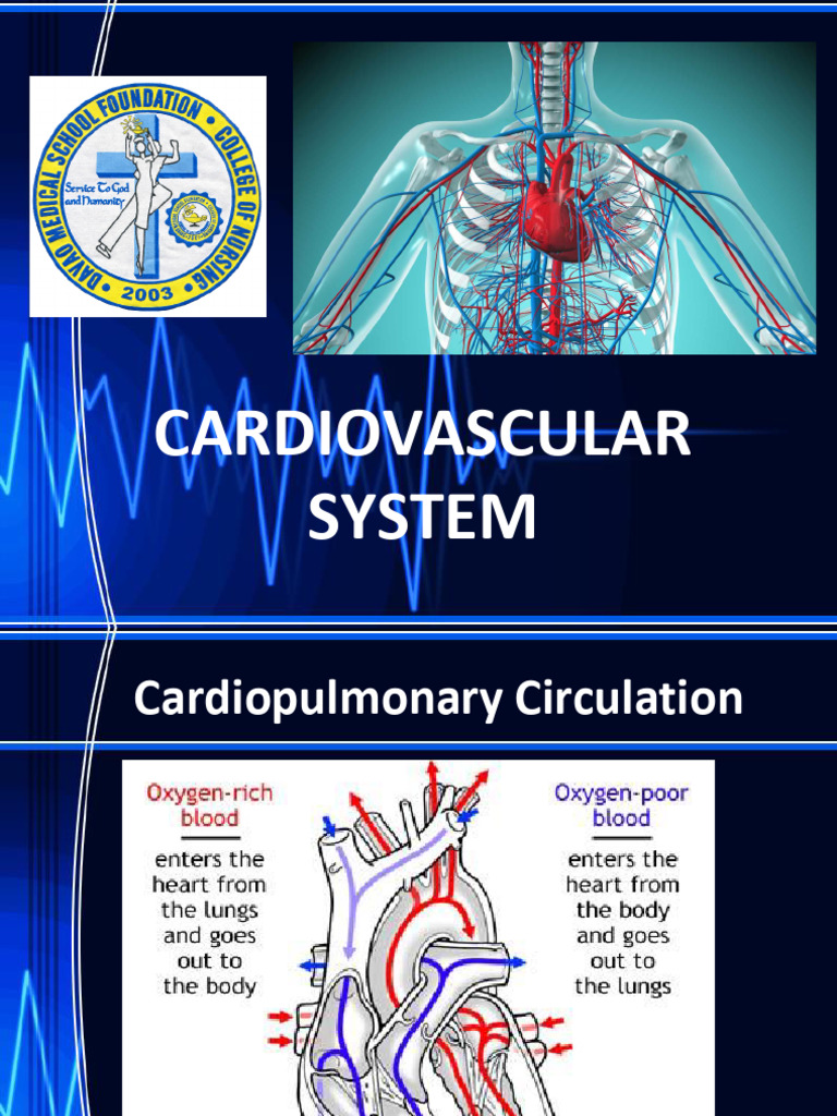 Cardiovascular Disorders | PDF | Myocardial Infarction | Heart