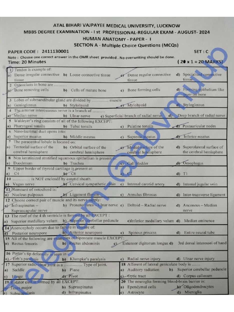2023 Batch 1st Proff Pyq Abvmuup | PDF