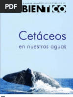 Download Encallamientos de cetceos en Costa Rica_Ambientico163 ABRIL07_Keto by Fundacion Keto SN100708352 doc pdf