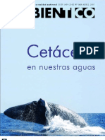 Encallamientos de cetáceos en Costa Rica_Ambientico163 ABRIL07_Keto
