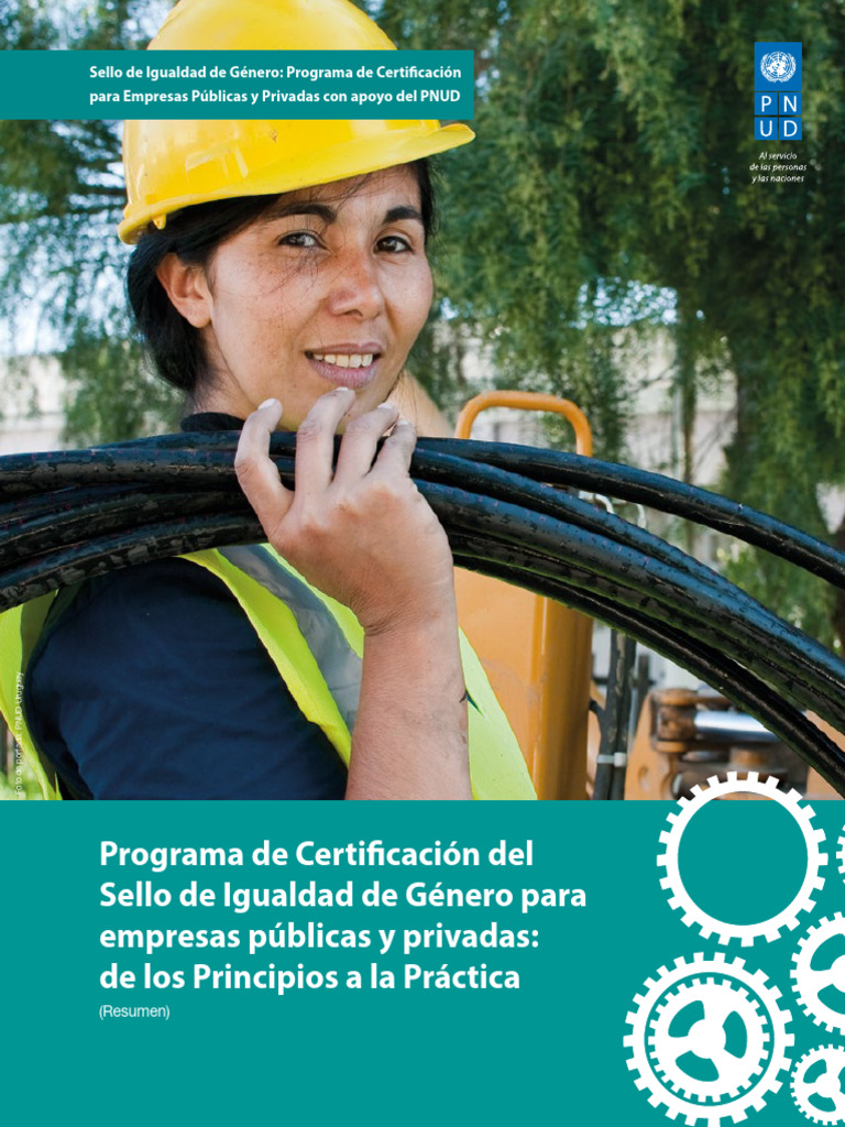 How - To - Resumen - Esp Sello PNUD | PDF | Igualdad de género ...