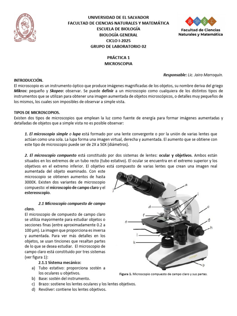 Práctica 1. Microscopia | PDF | Microscopio | Lente de la cámara