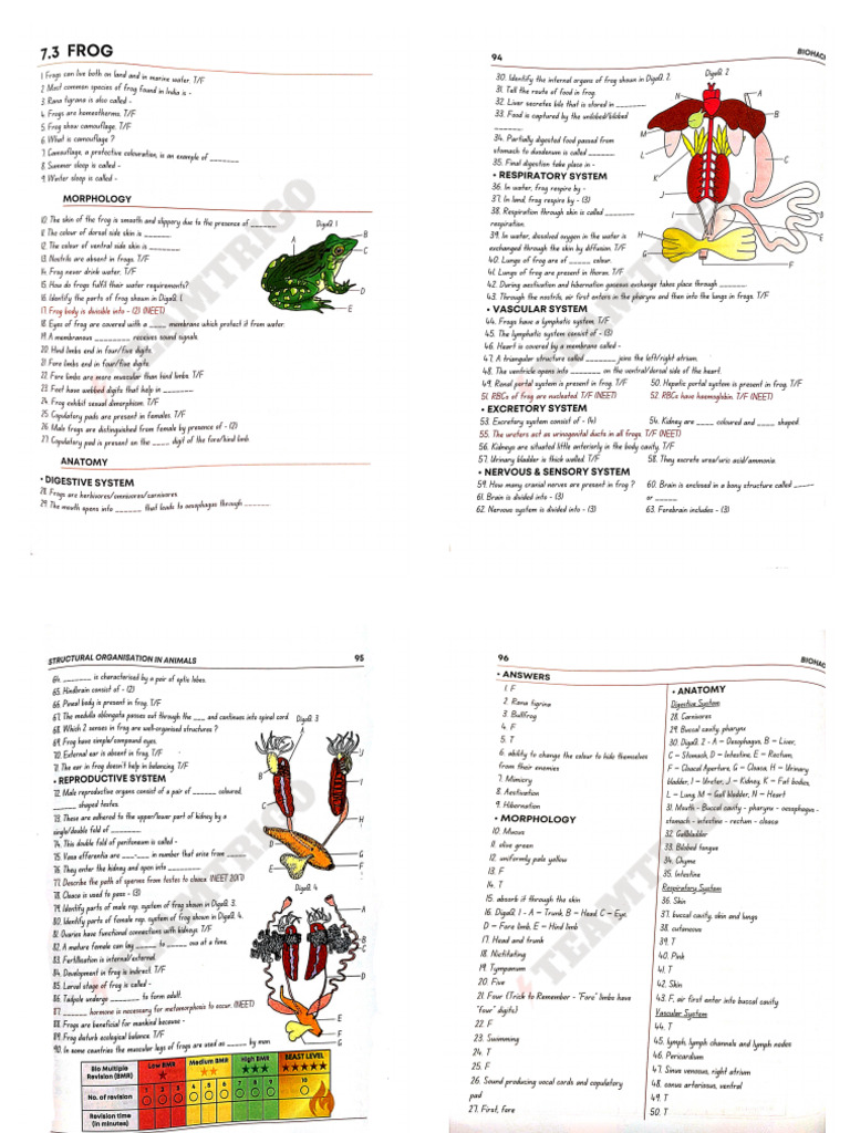 Frog | PDF