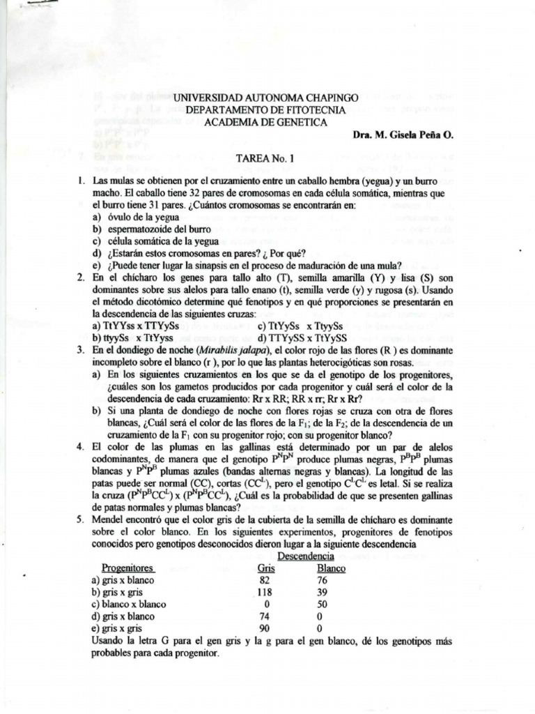 Tarea 1 | PDF