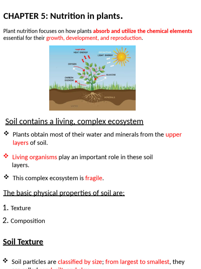 Hlse 032 - Chapter 5 - Nutrition in Plants | PDF | Soil | Plant Nutrition