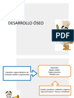 Desarrollo Oseo