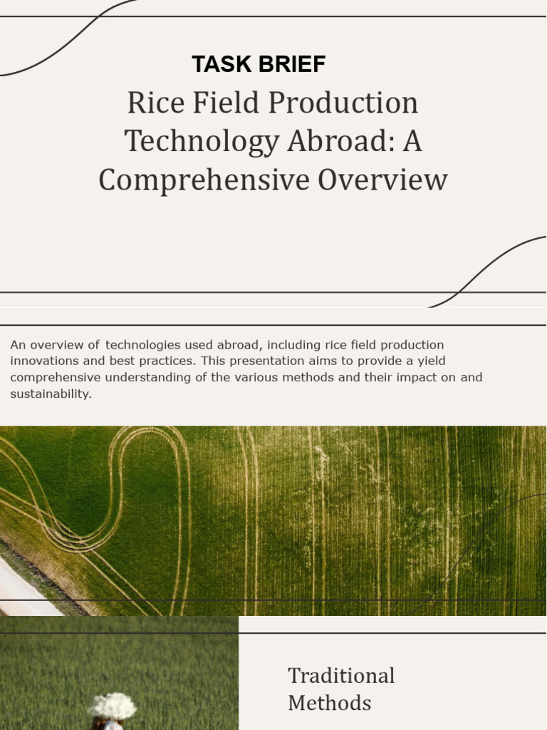 Task Brief Tugas Serealia | PDF | Rice | Paddy Field