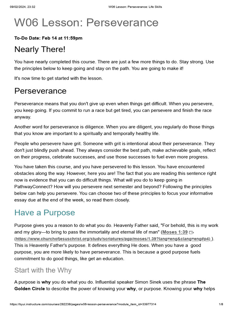 W06 Lesson - Perseverance - Life Skills | PDF