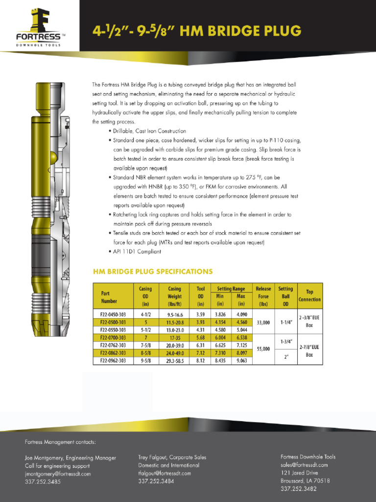 HM Bridge Plug PG | PDF