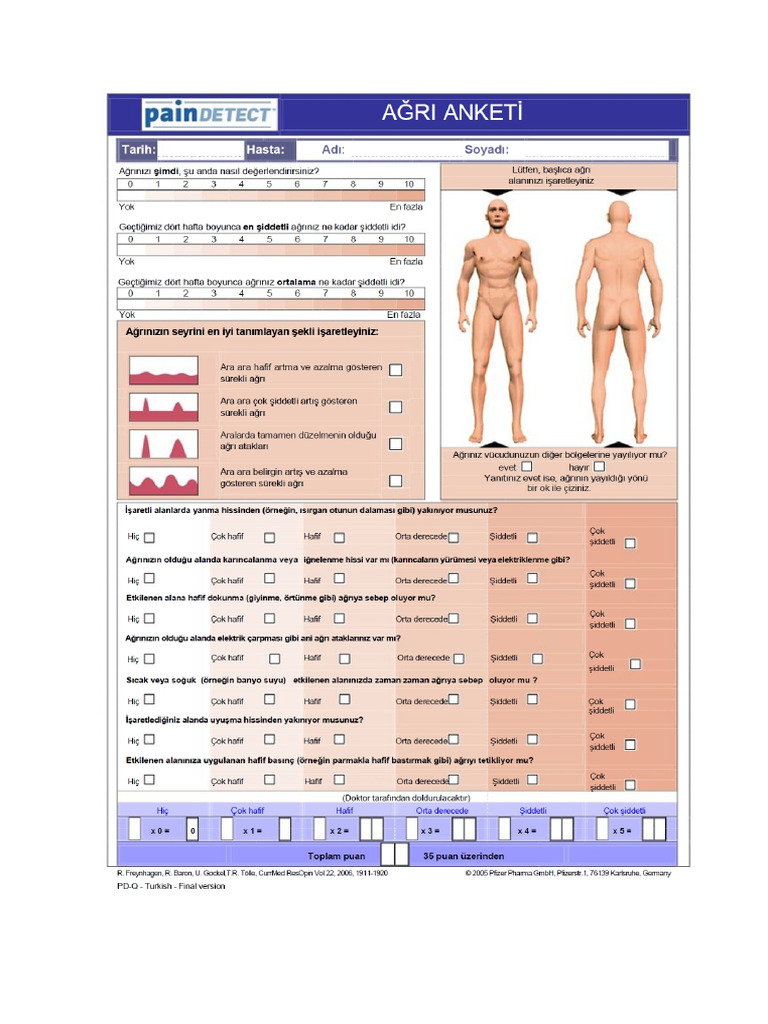 Pain Detect | PDF