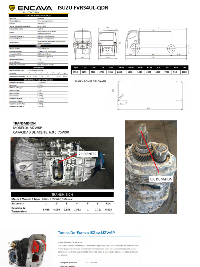 Ficha FVR | PDF