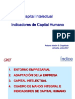 Capital Intelectual Indicadores