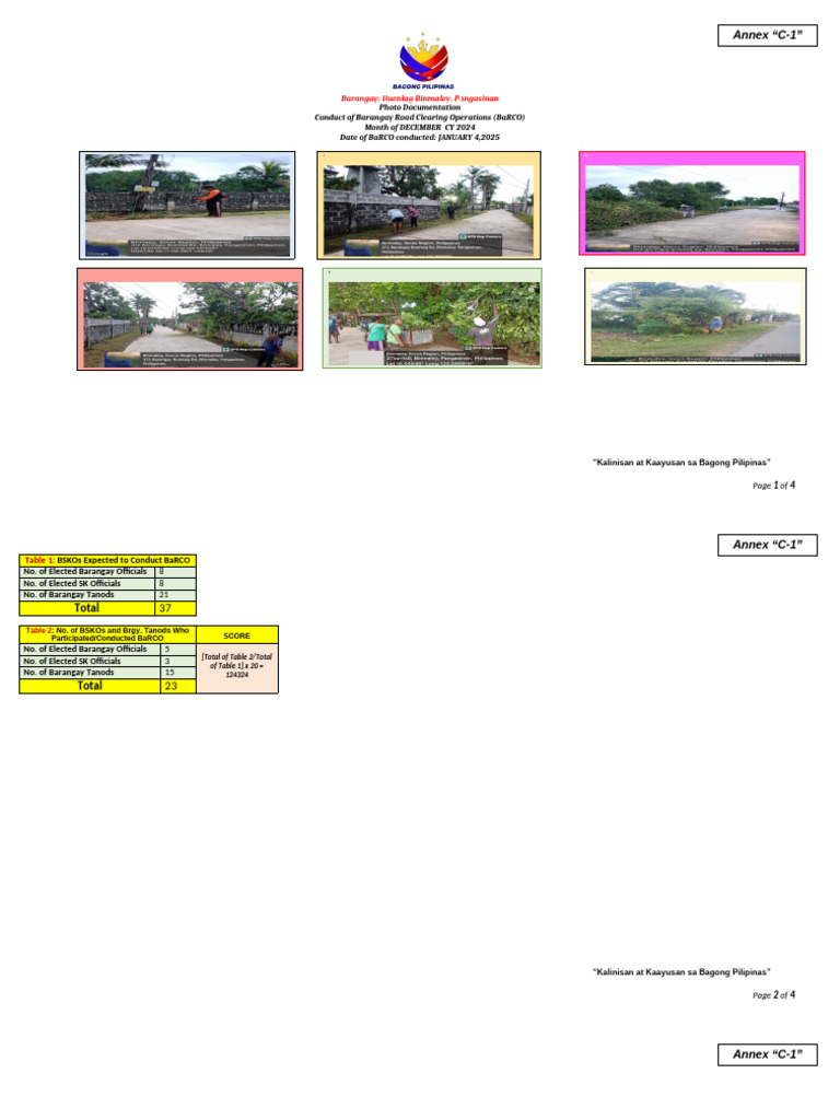 Annex C 1 Photo Documentation Barangay BaRCO Monthly Monitoring Report ...