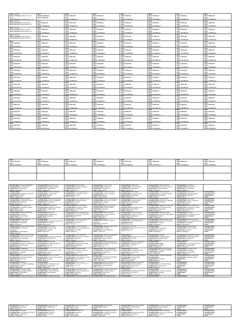Insect Identification Card | PDF | Beetle | Insects