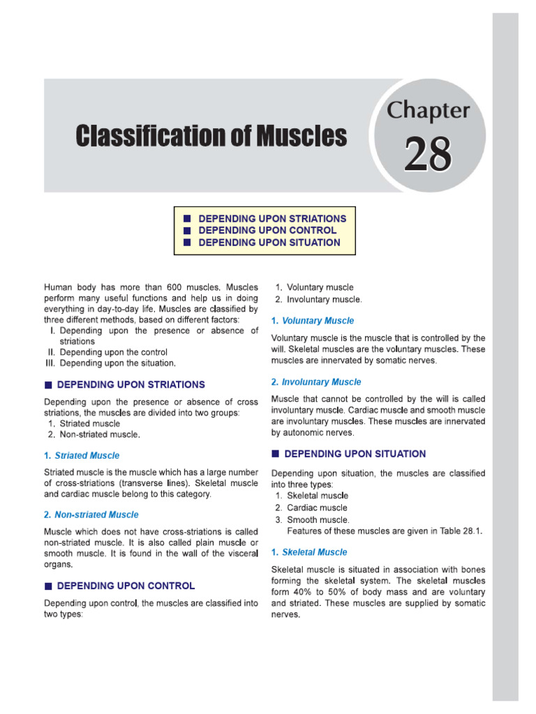 Muscles Classifcation & Skeletal Muscles (Sembulingam Book) | PDF ...
