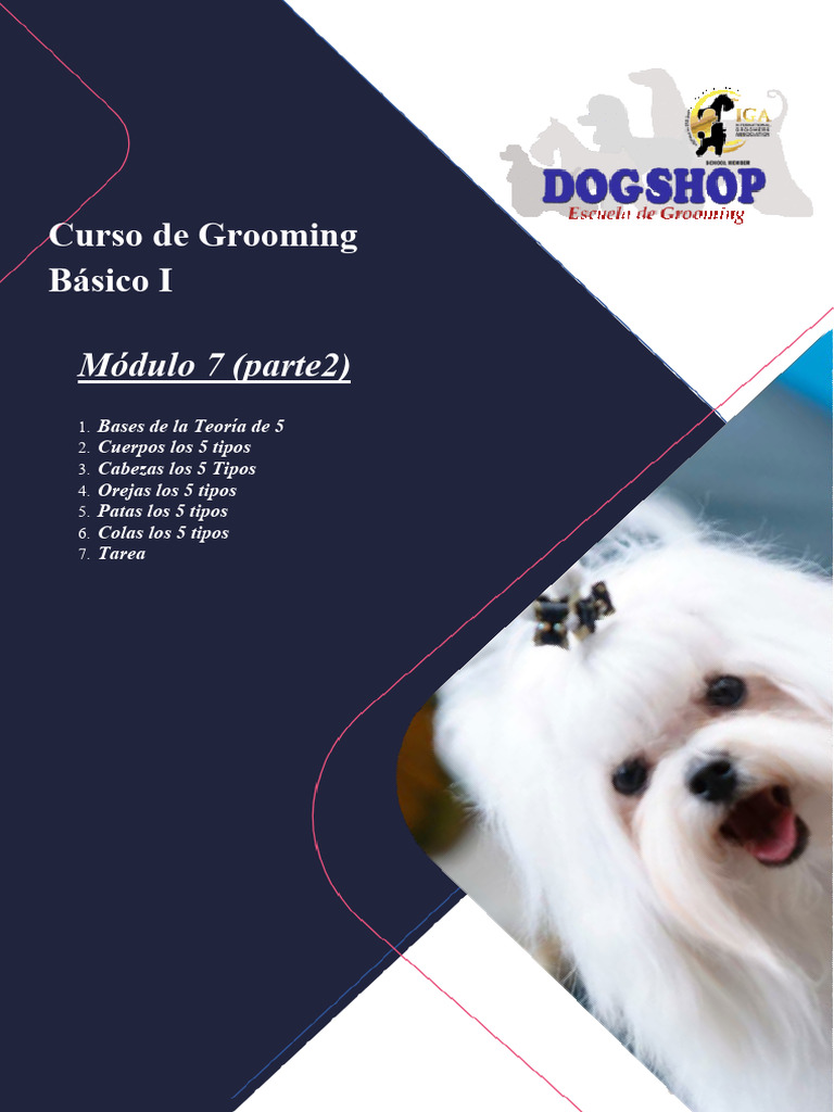 Dogshop, Curso de Grooming Básico I (Modulo 7, Parte 2) | PDF | Perros ...