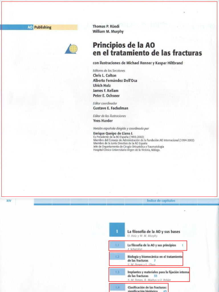 Principios Ao | PDF