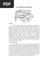 Download Alat Reproduksi Ternak Betina Dan Jantan by Ismail Achmad SN100727342 doc pdf