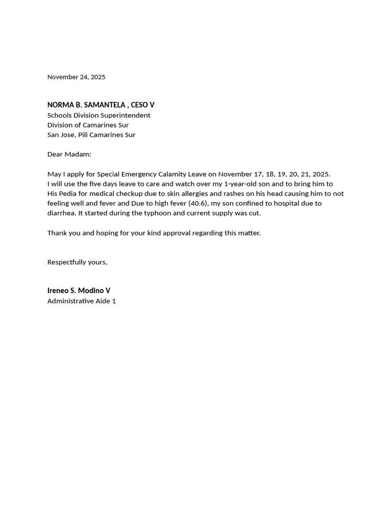 SEL-Calamity Letter of Application | PDF