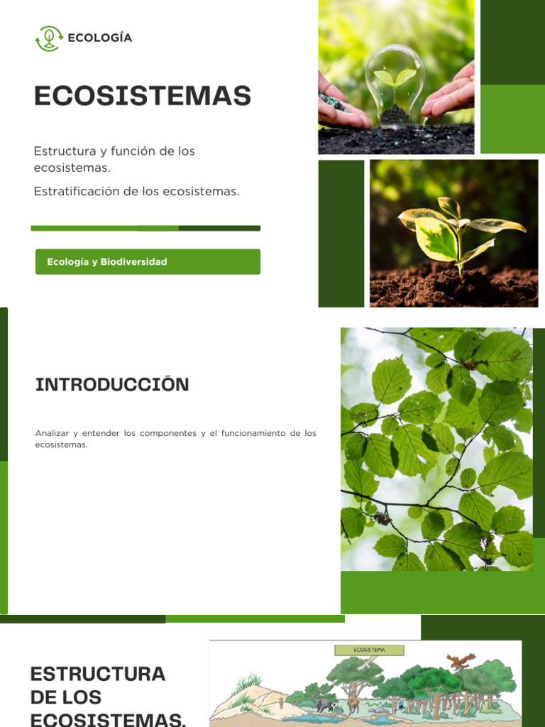 Ecología y Ecosistemas | PDF | Ecosistema | Ecología
