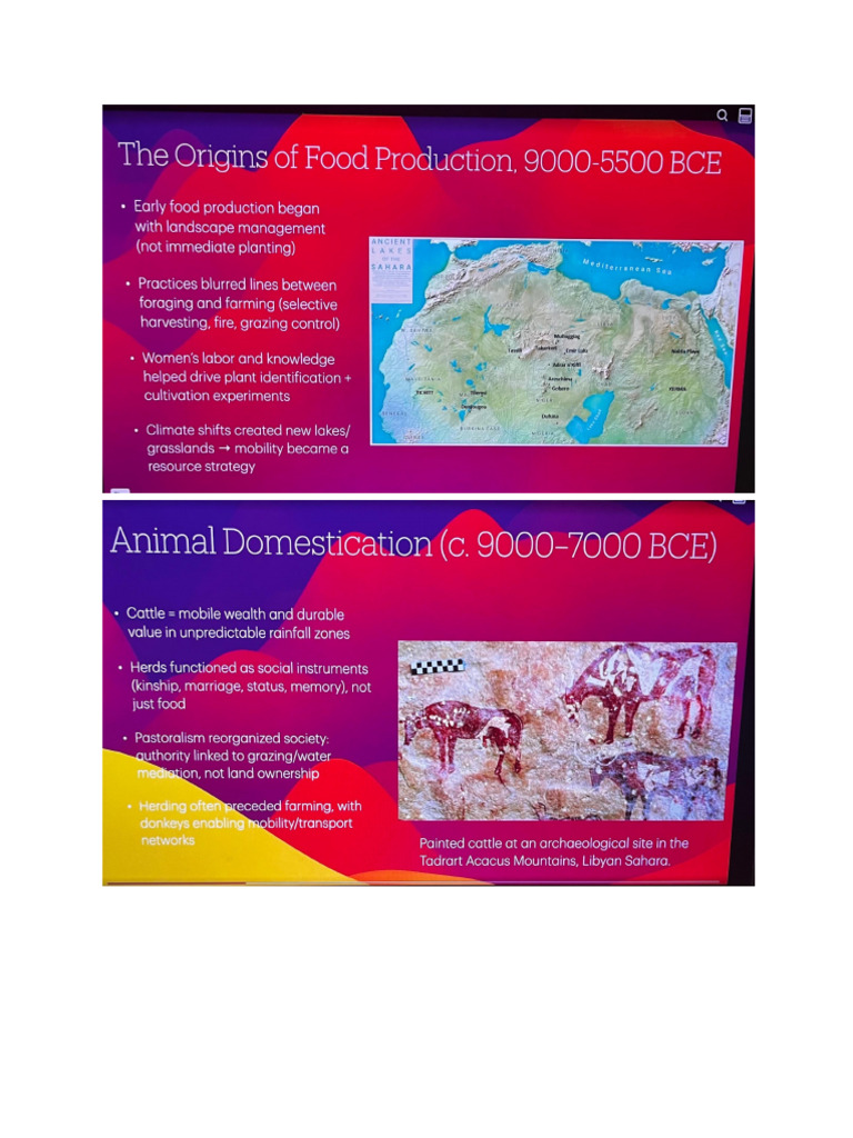 Week 3 Lecture 1 and 2 | PDF