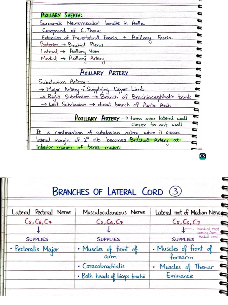 Complete Upper Limb Notes by Mkwazir | PDF