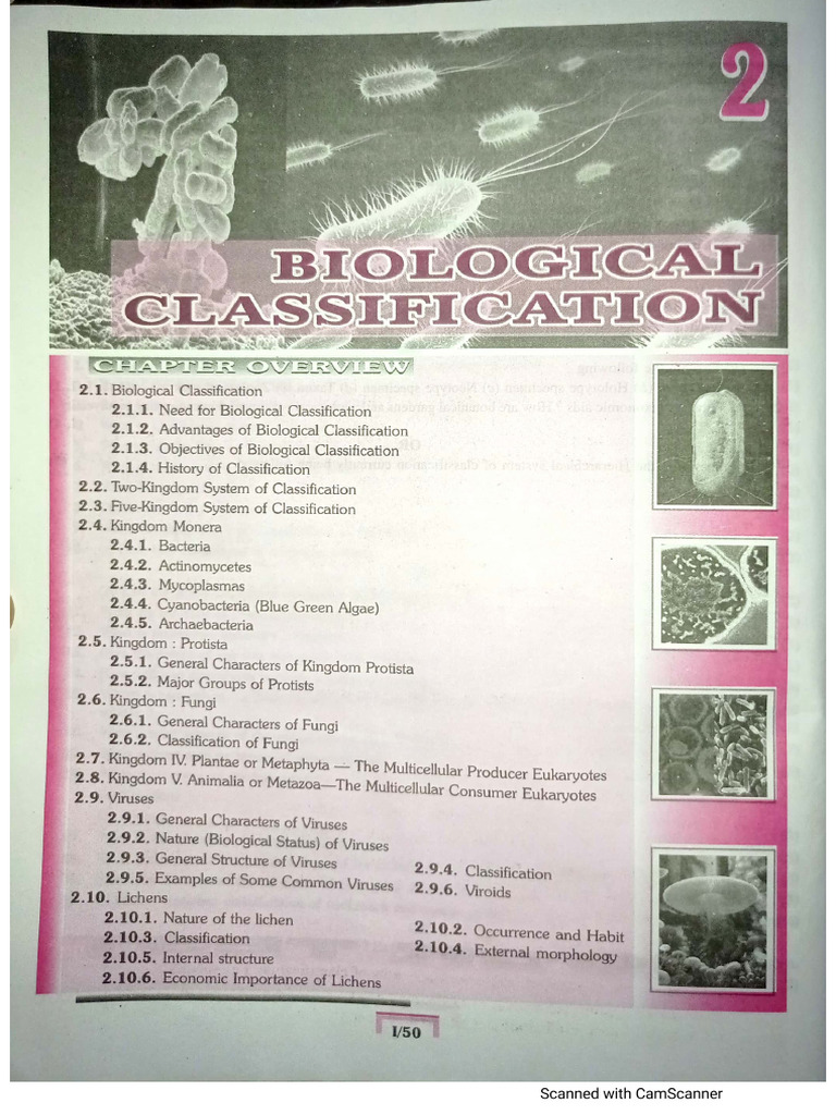 Biological Classification | PDF