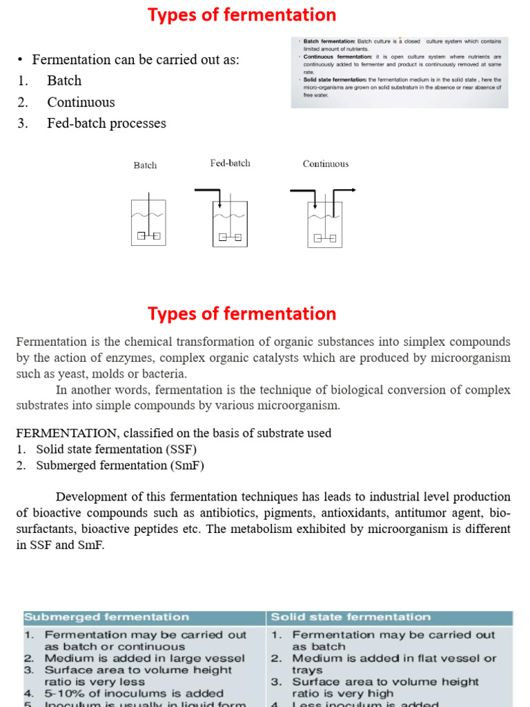 Types of Fermentation | PDF | Fermentation | Microorganism
