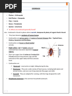 NCERT Cockroach Anatomy Overview | PDF | Anatomy