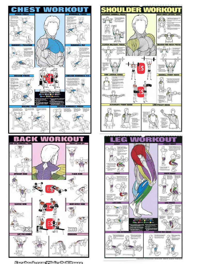 Gym | PDF