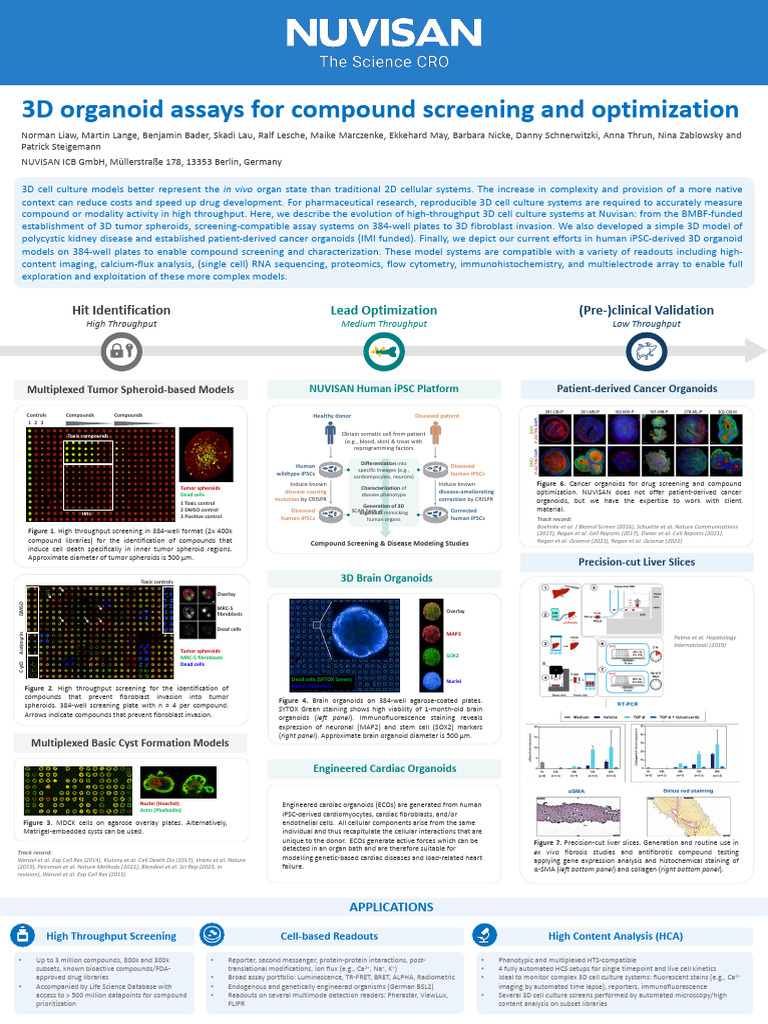 3d Organoid Assays For Compound Screening and Optimisation Poster 2023 ...