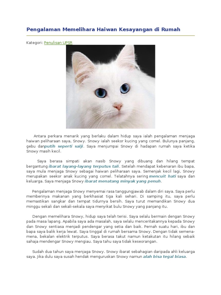 Pengalaman Memelihara Haiwan Kesayangan Di Rumah  PDF