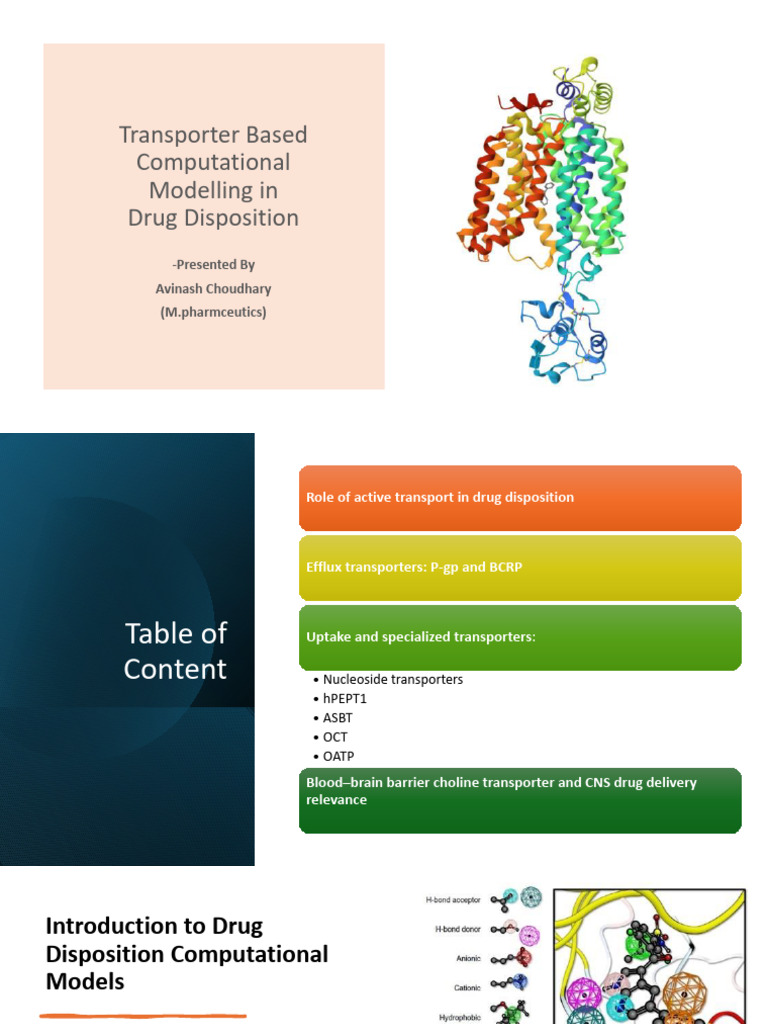 Active Transport CADDS Presentation | PDF | Drug Metabolism | Proteins