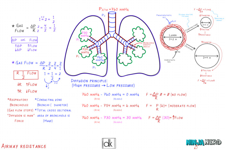 Airway Resistance (1) Atf | PDF