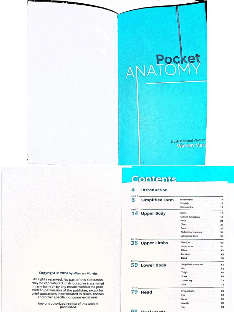 Pocket Anatomy Figure Drawing | PDF