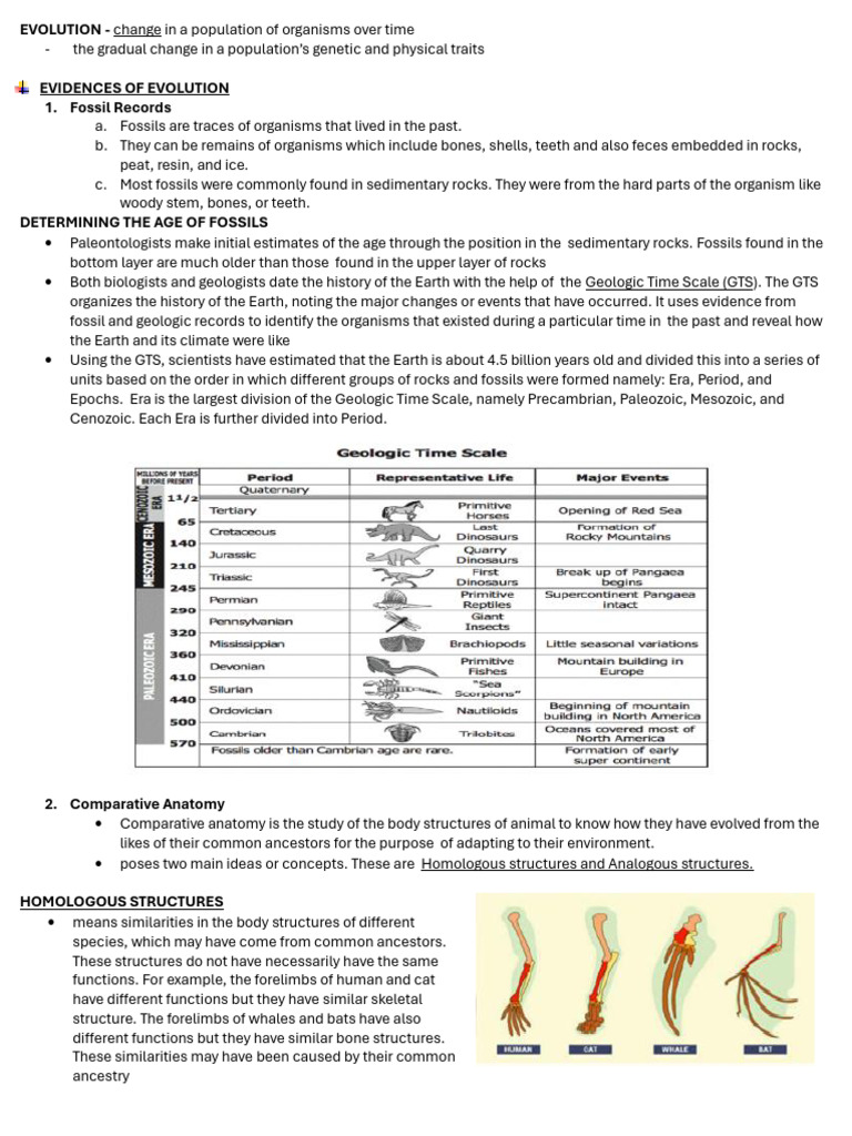 Evolution To Biodiversity | PDF | Fossil | Ecosystem