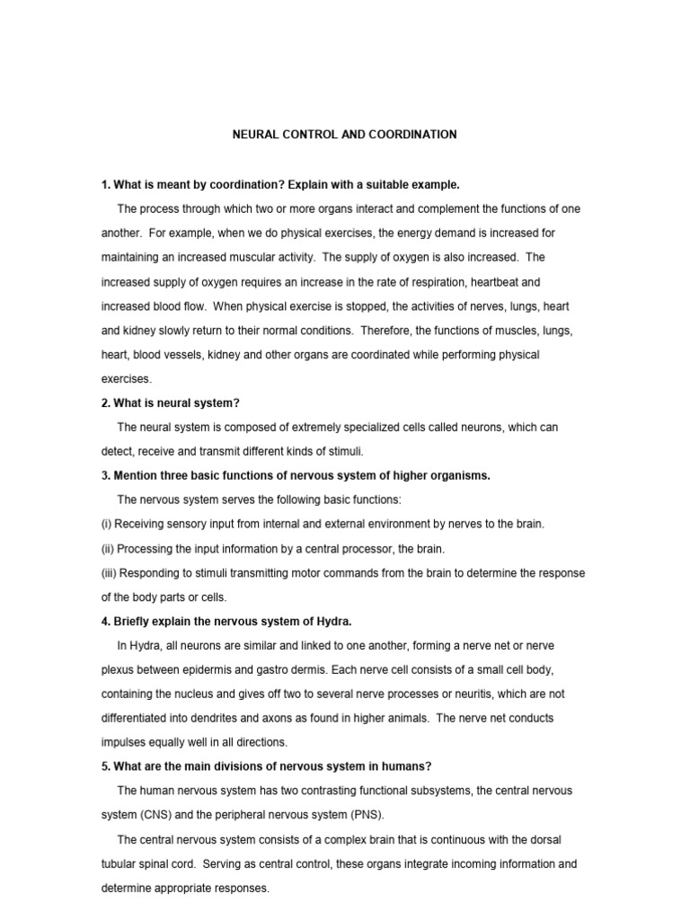 Practice Questions On Neural Control and Coordiantion | PDF | Chemical ...