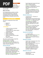 Integumentary System Combining Forms | PDF | Skin | Integumentary System