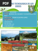 Biomas Del Mundo y Ecosistemas Del Perú