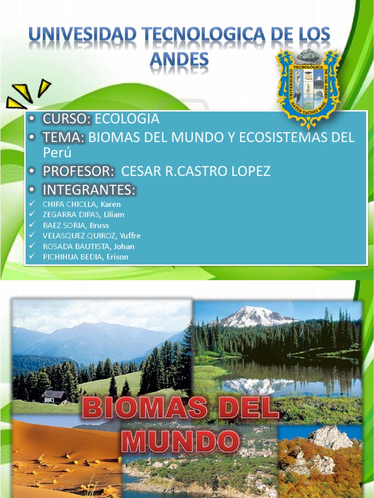 Biomas y Ecosistemas del Perú | PDF | Ecosistema | Desierto